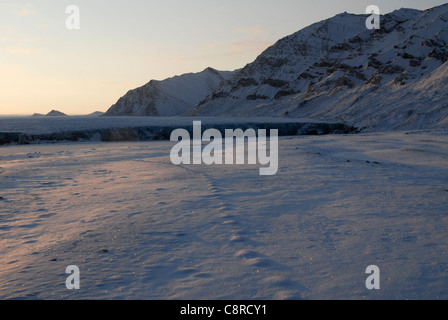 Spuren eines Tieres im Schnee vor dem Gletscher bei Sonnenaufgang, Recherchebreen, Spitzbergen Stockfoto