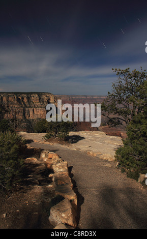 Grand Canyon National Park bei Mondschein im Yavapai View point. Stockfoto