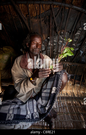 Äthiopischen Mann Essen khat Stockfoto