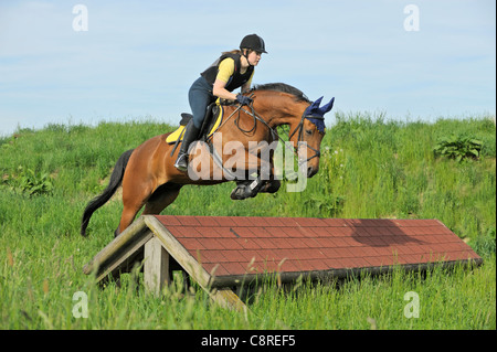 Junge Reiter tragen eine Reiten Hut und Körper Beschützer auf Rückseite ein "American Standard gezüchtet" (Trotter) während Kreuz Land springen Stockfoto