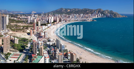 Komplettes Panorama Luftbild von Benidorm sandigen Strand Poniente und Levante bei Tageslicht, mit Altstadt und Burg. Stockfoto