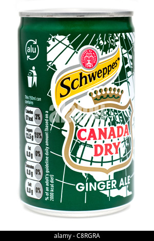 Schweppes Canada Dry Ginger ale können Stockfoto