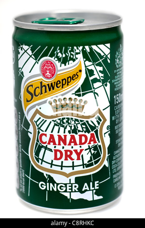 Schweppes Canada Dry Ginger ale können Stockfoto