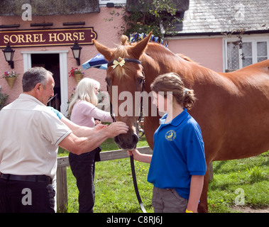 Suffolk Punch Pferd außerhalb der Sauerampfer Horse Pub, Shottisham, Suffolk, England. Stockfoto