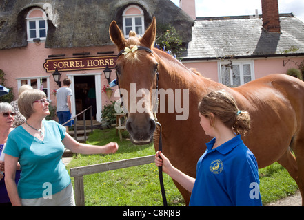 Suffolk Punch Pferd außerhalb der Sauerampfer Horse Pub, Shottisham, Suffolk, England. Stockfoto