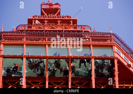 Menschen zu Fuß auf dem Glas-Boden-Skywalk von The Blackpool Eye, Bestandteil der Blackpool Tower in Blackpool, Großbritannien Stockfoto