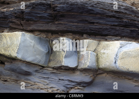 Nahaufnahme von Felsschichten am Kilve Beach, Somerset, England, Großbritannien Stockfoto