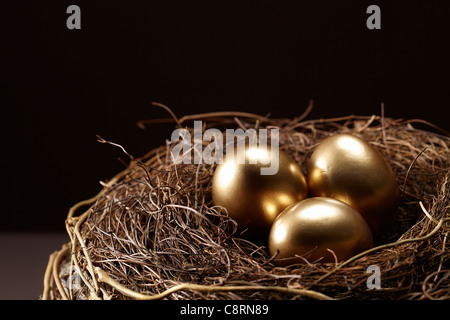 Close-up drei goldene Eier im nest Stockfoto