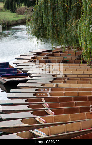 Leere Stocherkähne auf dem Fluss Cam in Cambridge Stockfoto