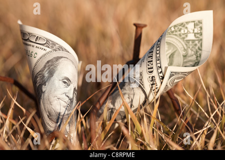 Nahaufnahme der gefaltete Banknote zusammen mit Nägeln gehalten getrocknetes Gras Stockfoto