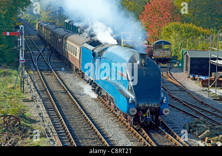 Mitte-Hants Eisenbahn Herbst Gala 28.10.11. Stockfoto