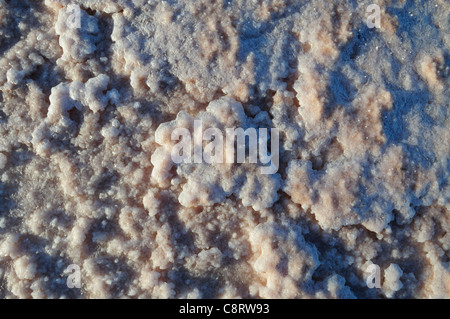 Afrika, Tunesien, Chott el Jerid zwischen Kebili und Tozeur. Schließen Sie die Ansicht auf den Chott el Jerid salzig Oberfläche. Stockfoto