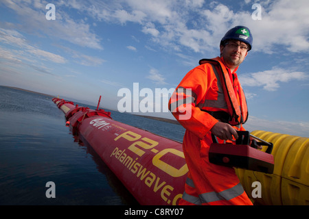 Orkney-Inseln Sept 2011 Wellen- und Gezeitenkraft shoot - The Pelamis Wave Power Maschine in Orkney Stockfoto