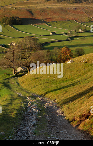 Die ersten Sonnenstrahlen treffen das bunte Herbstlaub Arncliffe in Littondale, Yorkshire Stockfoto