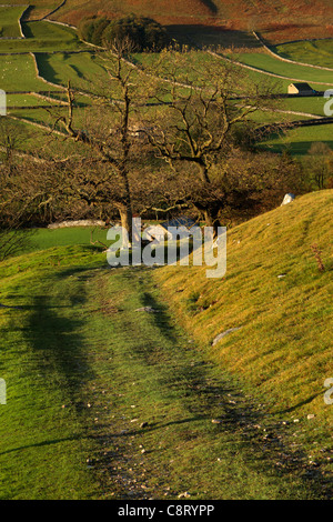 Die ersten Sonnenstrahlen treffen das bunte Herbstlaub Arncliffe in Littondale, Yorkshire Stockfoto