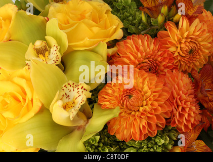 Eine Nahaufnahme von einem bunten Blumenstrauß. Gelbe Rosen, orange Dahlien, gelbe Cymbidium Orchideen, orange Freesien, Hortensie Stockfoto