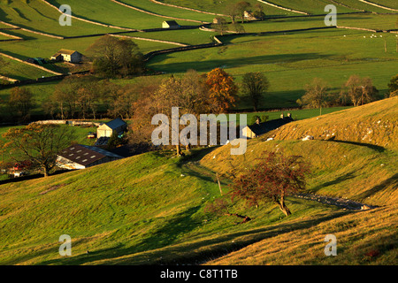 Die ersten Sonnenstrahlen treffen das bunte Herbstlaub Arncliffe in Littondale, Yorkshire Stockfoto