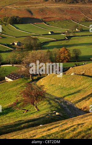 Die ersten Sonnenstrahlen treffen das bunte Herbstlaub Arncliffe in Littondale, Yorkshire Stockfoto