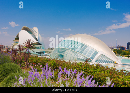 Futuristische Gebäude, die von Santiago Calatrava in der Stadt der Künste und Wissenschaften, Valencia, Spanien, entworfen wurden. Stockfoto