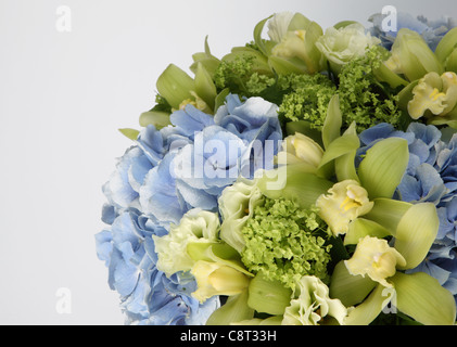 Eine Nahaufnahme von einem bunten Blumenstrauß. Eine Blaue Hortensie, kleine grüne Hortensien und blass grünen Cymbidium Orchideen. Stockfoto