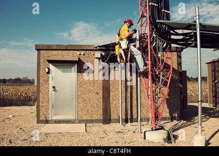 Turm Kletterer ab Weise bis zu 300' abgespannten Turmspitze, die wireless-Antennen zu überprüfen. Stockfoto