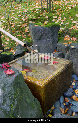 Japanische Bambus-Brunnen mit quadratischen Stein Becken Stockfoto