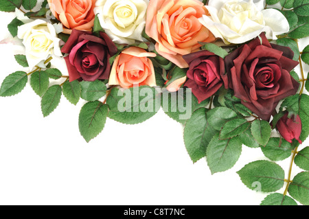 Rahmen von bunten Rosen, isoliert auf weiss Stockfoto