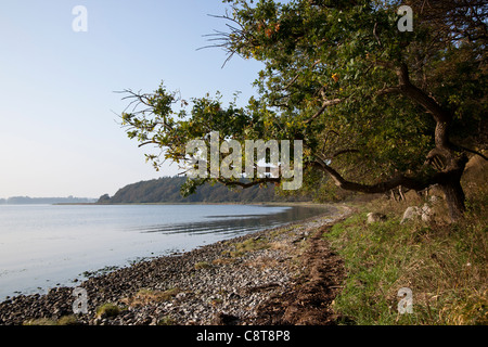 Spät Sommer Küste. Roskilde-Fjord. Zealand. Dänemark. Stockfoto