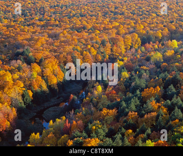 Herbst farbige Wald und Big Carp River, von der Böschung Aussichtspunkt, Stachelschwein Mountain Wilderness State Park, Michigan, USA Stockfoto
