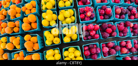 USA, New York City, Marktstand mit bunten Früchten in Kartons Stockfoto