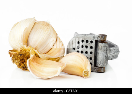 Knoblauchzwiebel & Knoblauchzehen mit einer Knoblauchpresse auf weißem Hintergrund. Stockfoto