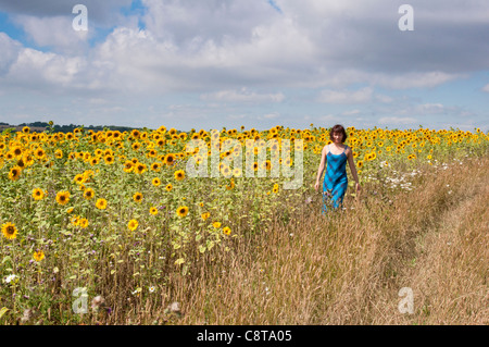 Ein Mädchen in einem Feld von Sonnenblumen in Snowhill in Worcestershire Cotswold. England. Stockfoto