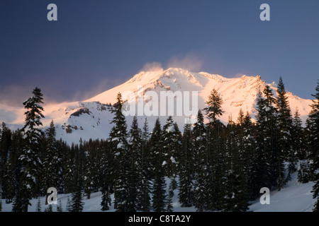 CA01076-00... Kalifornien - Alpin Glühen am Mount Shasta vom Bereich Bunny Wohnungen des Shasta-Dreiheit National Forest. Stockfoto