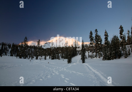 KALIFORNIEN – alpines Leuchten auf dem Mount Shasta vom Langlaufgebiet Bunny Flats im Shasta-Trinity National Forest. Stockfoto