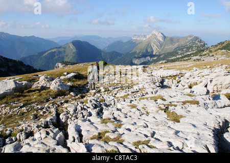 Kalkstein Pflaster auf den Dent de Crolle in der Chartreuse Region der Alpen, Frankreich Stockfoto