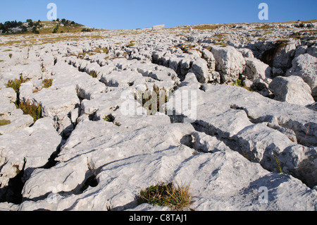 Kalkstein Pflaster auf den Dent de Crolle in der Chartreuse Region der Alpen, Frankreich Stockfoto