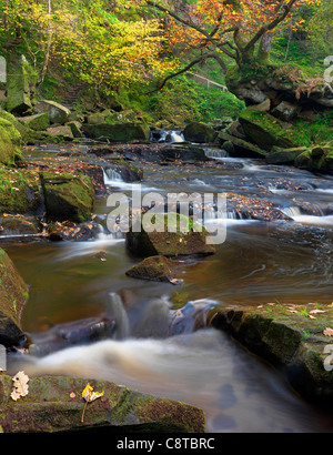 West-Beck, in der Nähe von Mallyan Auslauf, im Herbst. Stockfoto