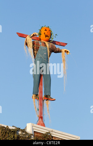 Unter der Leitung von Kürbis Vogelscheuche auf Dach Stockfoto