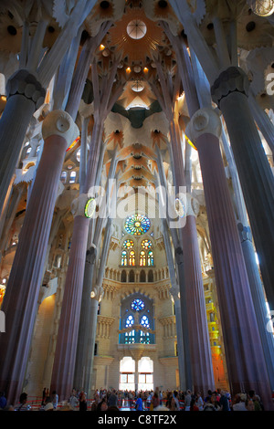 Innenraum der Kirche Sagrada Familia oder Expiatory Kirche der Heiligen Familie. Barcelona, Katalonien, Spanien. Stockfoto