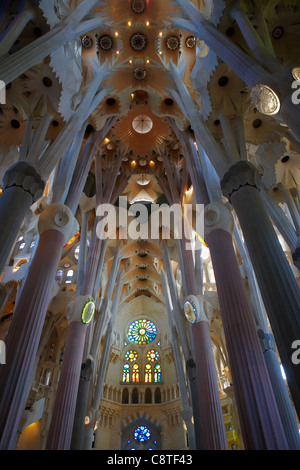 Innenraum der Kirche Sagrada Familia oder Expiatory Kirche der Heiligen Familie. Barcelona, Katalonien, Spanien. Stockfoto