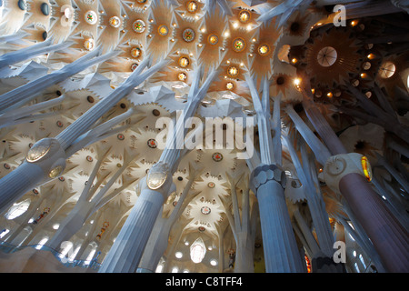 Innenraum der Kirche Sagrada Familia oder Expiatory Kirche der Heiligen Familie. Barcelona, Katalonien, Spanien. Stockfoto