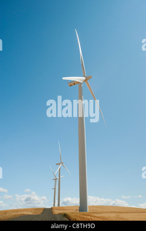 USA, Oregon, Wasco, Windkraftanlagen Kiesweg zwischen Weizenfeldern Stockfoto