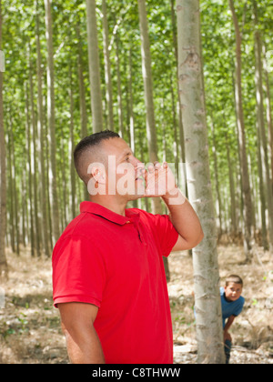 USA, Oregon, Boardman, Vater und Sohn Seekand spielt verstecken zwischen Pappeln in Baumschule Stockfoto