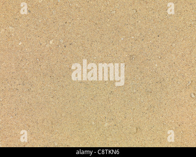 Eine konzeptionelle Strand Bild mit sortierten Strandzubehör Stockfoto