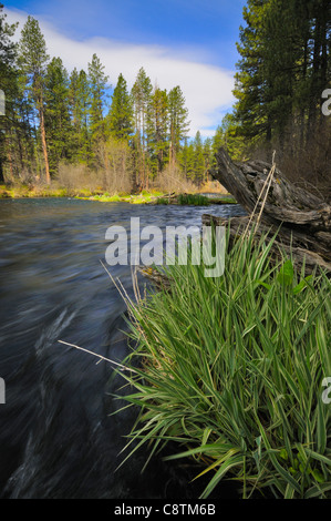 USA, Oregon, Deschutes County, Metolious Fluss Stockfoto