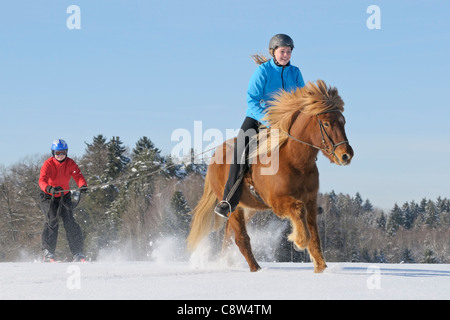 Zwei Mädchen, die Spaß beim Skijöring mit einem Islandpferd Stockfoto