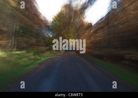 Bild zoomen, Bilder durch Zoomen Sie das Objektiv auf eine längere Belichtungszeit in Hamsterley Forest in der Grafschaft Durham, im Herbst. Stockfoto