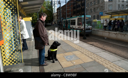 Ein Blinder mit einem Blindenhund Hund warten auf eine Straßenbahn Manchester England UK KATHY DEWITT Stockfoto