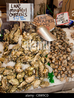 Seattle Hecht Ort Fish Monger Bauern Markt US-Bundesstaat Washington Vereinigte Staaten von Amerika-USA Stockfoto
