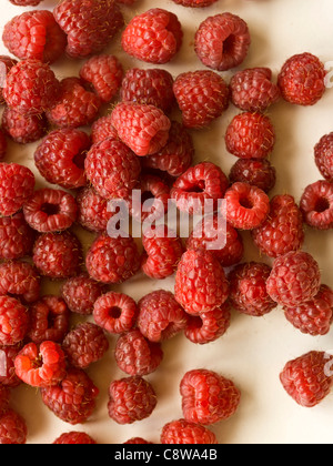 Close up of red raspberries Stockfoto